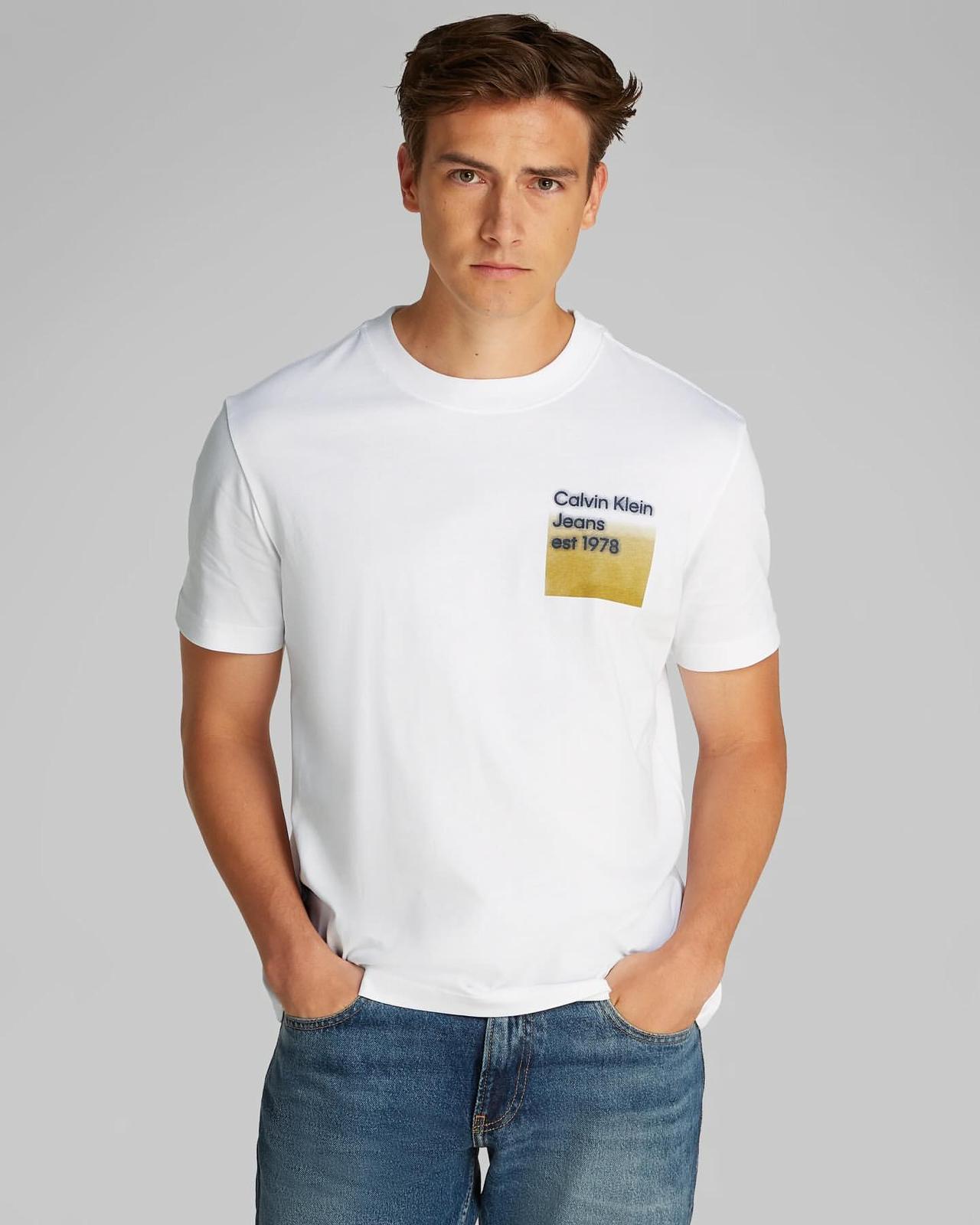 Calvin Klein Faded Box Logo T-Shirt