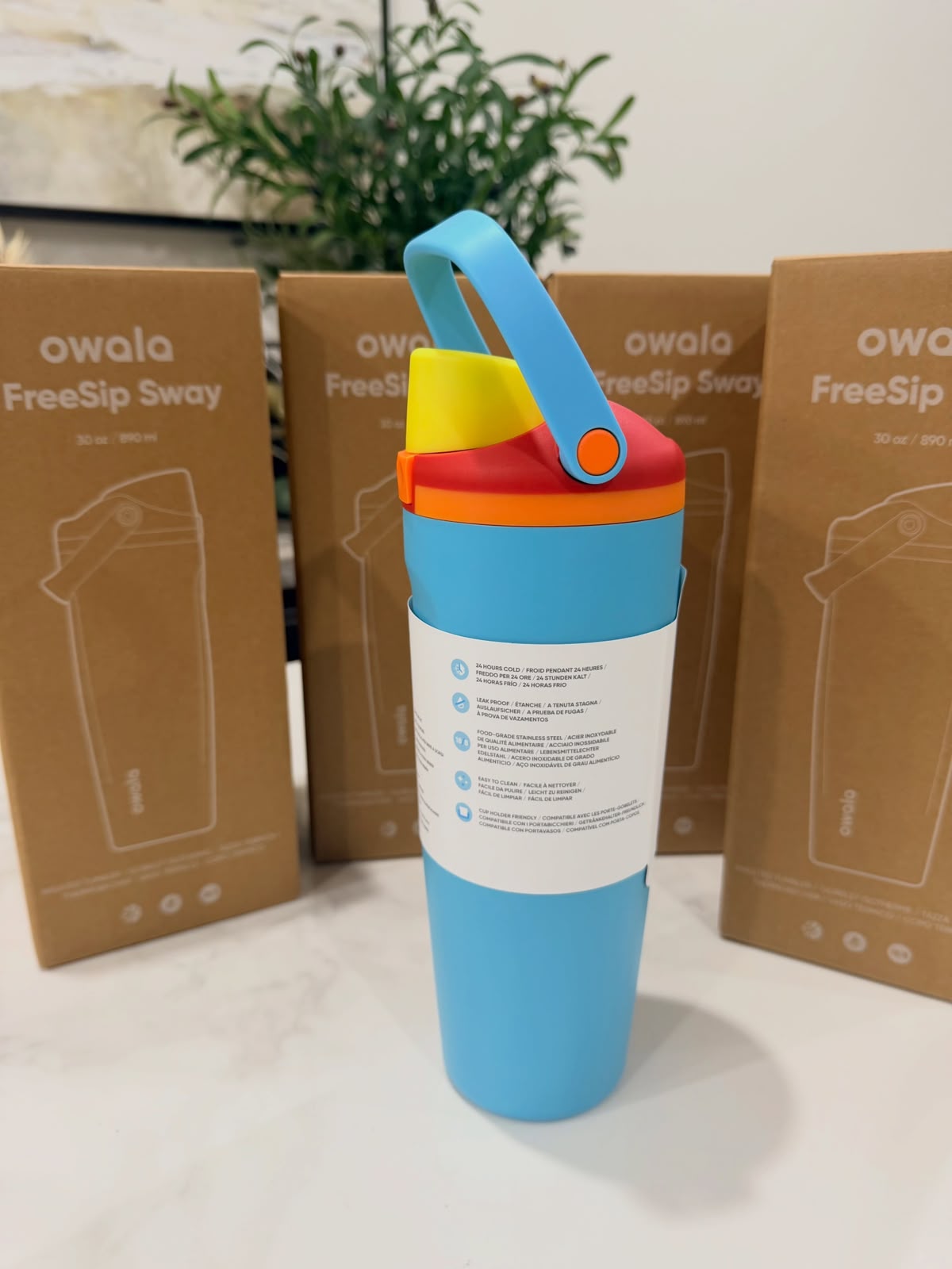 Owala FreeSip Sway Insulated Water Bottle - 887ml (30oz) Summer Sweetness