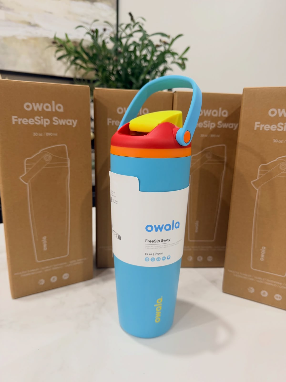 Owala FreeSip Sway Insulated Water Bottle - 887ml (30oz) Summer Sweetness